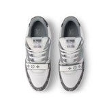 Louis Vuitton Trainer Skater Gray